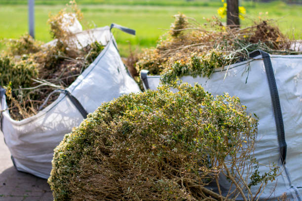 Reliable Lindsay, CA Junk Removal Solutions